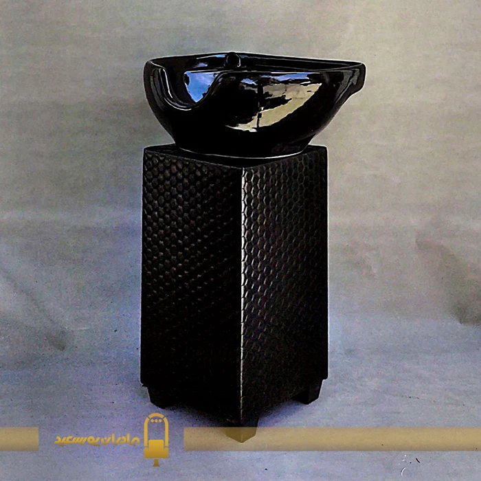 سرشور ایستاده